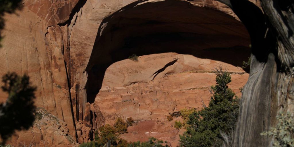 Navajo National Monument